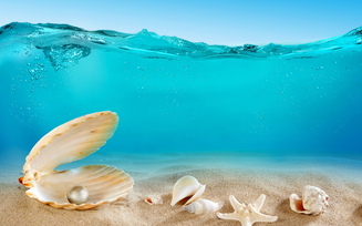 море, океан, ракушки, underwater, sand, ocean, seashells, песок, дно море, океан, ракушки, underwater, sand, ocean, seashells, песок, дно